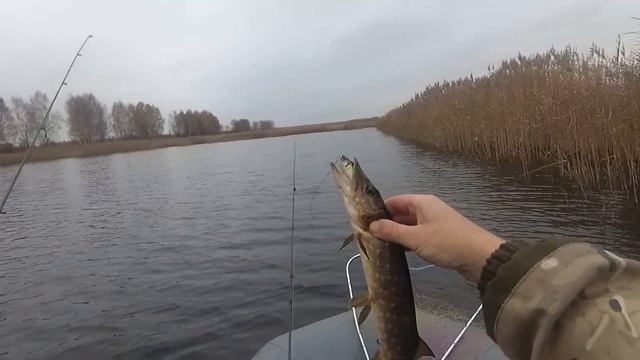 Лидские Торфяники. Рыбалка с Лодки. Жабовник. смотреть онлайн