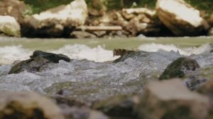 Города Грузии. Кеда в Аджарии | Keda, Georgia