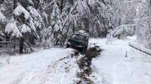 Четыре Нивы и Nissan Pathfinder кто проедет дальше. Лютый замес в лесу. Зимний Offroad. Оффроуд.