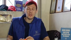 Чесотка свиней. Scabies pigs.