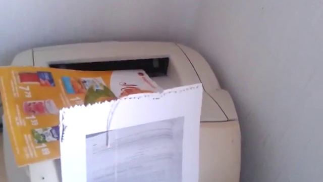 Попугай неразлучник Оззи. смотреть онлайн