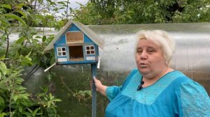 Экскурсия по дачному участку