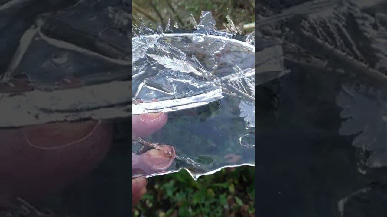 16 октября 2022 г. смотреть онлайн