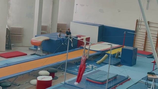 Чемпионат и Первенство города Владимира по спортивной гимнастике