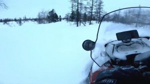 Ski-doo Expedition 1200 4-tec покатались 20.02.22