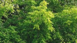 Как тонут люди? Демо-версия глазами утонувшего