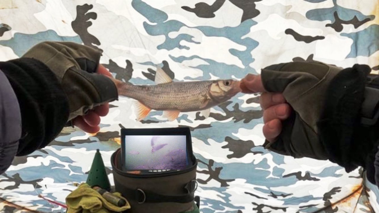 ГЛУХОЗИМЬЕ , ОБЬ , ПРОТОКА !!! 25 февраля 2024г.