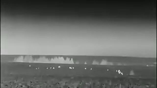 Кабаны на убранном кукурузном поле. Съёмка тепловизором. смотреть онлайн