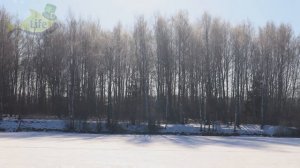 Секреты ловли щуки на блесну! Идеальная техника ловли щуки на блесну зимой какая она?