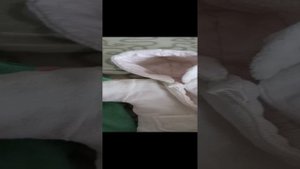 что нужно реборну на первое время/reborn♡