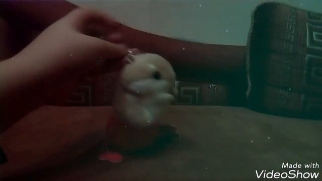 ВЕЩИ С АЛИЭКСПРЕСС [СУПЕР ДИСКО-ЛАМПА] смотреть онлайн