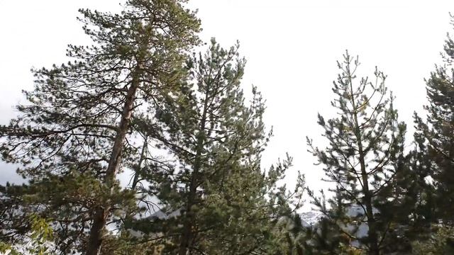 Осень в Приэльбрусье. Отель SKY-ELBRUS смотреть онлайн