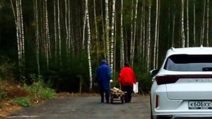 п.Шадрино,Дмитровский район.