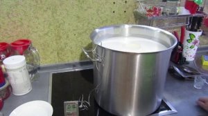 Сырное тесто для паста филата ( вытяжные сыры )