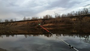 Весенний налим. Ловля налима весной на закидушки. Рыбалка на реке Ишим.