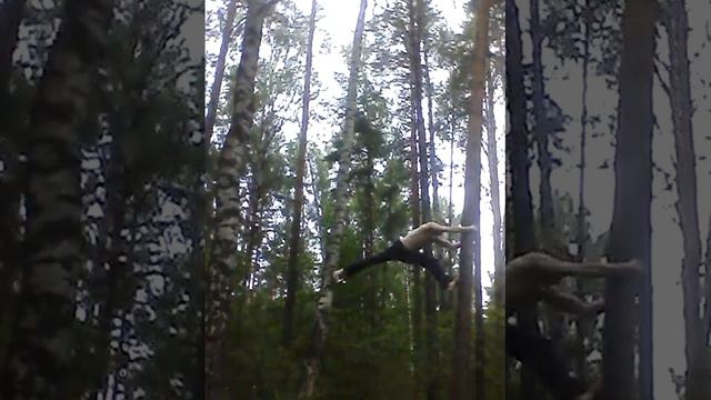 вскарабкатся вверх, сделать упор ногами между деревьев смотреть онлайн