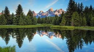 Истории из жизни Свекровь постоянно доставала меня своими нравоучениями Жизненные истории рассказы