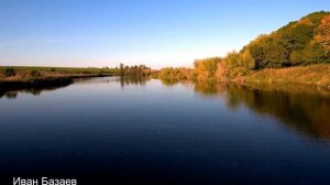 лебеди пруд "любимый" Вейделевка Белый Колодезь