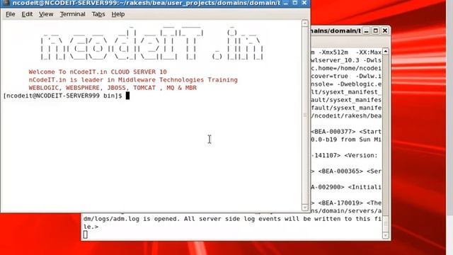 WL-Deployment 1 смотреть онлайн