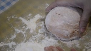 Готовим печенье для собак с мясом и морковью