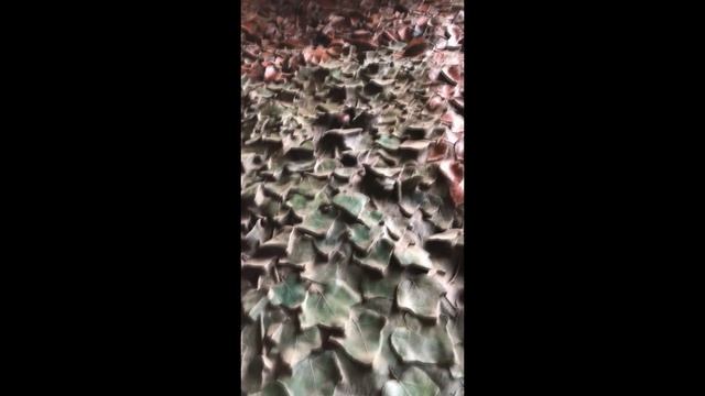 Sagrada Familia. Собор Саграда Фамилия (Барселона, Испания)