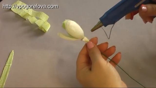 18 видов цветов: Подснежник смотреть онлайн