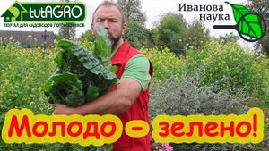 ПОЧЕМУ МОЛОДАЯ ЛУЧШЕ СТАРОЙ? Потому что она гораздо лучше! Как правильно собирать поздний урожай?