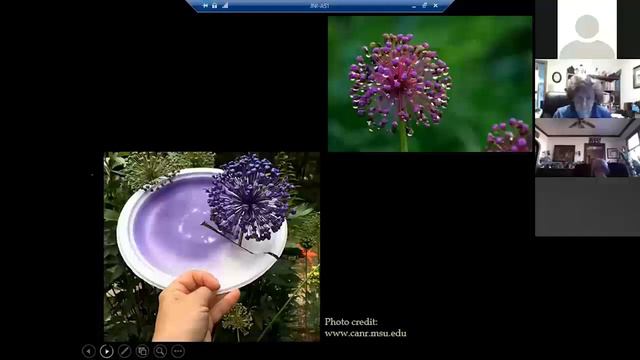 Creating a Garden of Four Season Interest смотреть онлайн