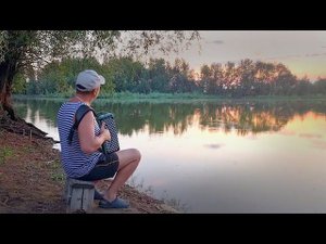 Вечер тихой песней, над рекой плывёт. Гармонь Чайка2.