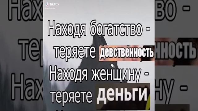 #цитатыволка | ЦИТАТЫ ВОЛКА ИЗ ТИК ТОКА |  МЕМ ПРО ВОЛКА ИЗ ТИК ТОКА |  БЕЗУМНО МОЖНО БЫТЬ ПЕРВЫМ