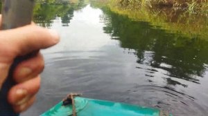 Ловля щуки на живца с лодки.