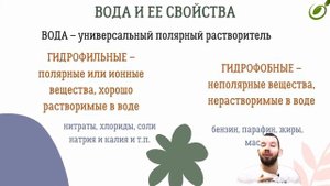Л.6 | Химический состав клетки | Вода и минеральные вещества | ОБЩАЯ БИОЛОГИЯ ЕГЭ