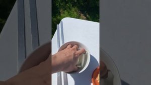 Шашлык из дикого кабана. Часть 1