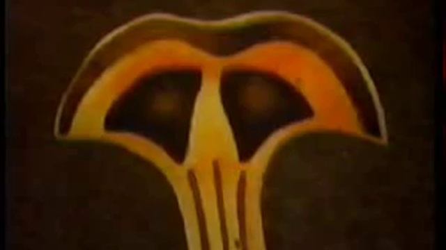 Тип Плоские черви (Plathelminthes) Класс Сосальщики — Trematoda