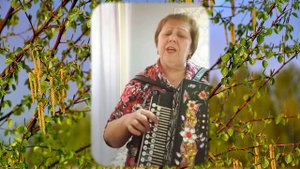 Пришла весна в мои края(гармонь)