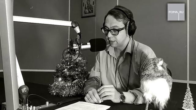 Марина Симакина "Лимон на Ёлке" Читает Александр Ананьев смотреть онлайн