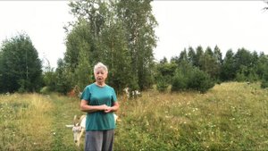 Коза объелась//Побелка козовника//Дожилась до ручки...