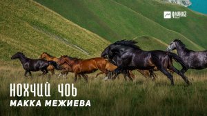 Макка Межиева - Нохчий чоь | KAVKAZ MUSIC CHECHNYA
