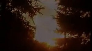 Михаил Звездинский_Как жаль