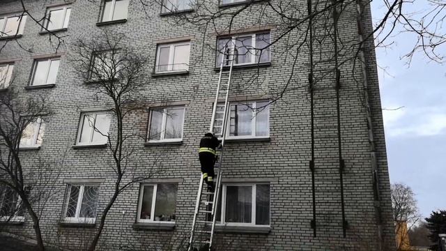18.02.2019 ДНЕВНАЯ ЖИЗНЬ СИЛЛАМЯЭ КТО ЗНАЕТ ЧТО СЛУЧИЛОСЬ смотреть онлайн