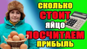 Сколько стоит куриное яйцо. Посчитаем затраты и прибыль.