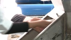 ООО Руссоль Усолье Сибирское