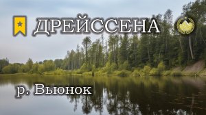 ✮ р. Вьюнок ✮ Дрейссена речная ✮ Русская рыбалка 4 ✮