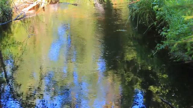 лето рыбалка на хариуса музыка и видео для релаксации смотреть онлайн