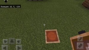 ?Блоки, которые скрывает Minecraft | Секретные блоки Майнкрафт