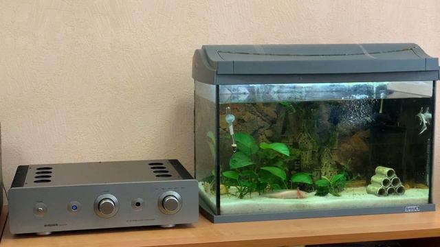 Diana Krall "I Remember You" - Sugden a21se signature смотреть онлайн