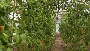 Тимашевский Свято Духов мужской монастырь «Святыни Кубани»