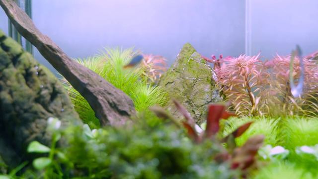 The Trench is one month old now смотреть онлайн