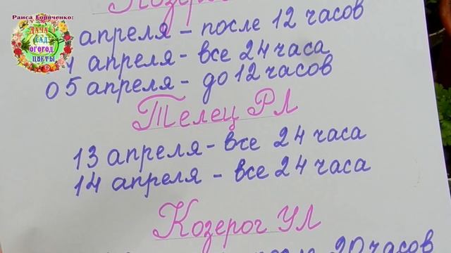 Когда квасить капусту в апреле 2021 года? Кулинарный гороскоп смотреть онлайн