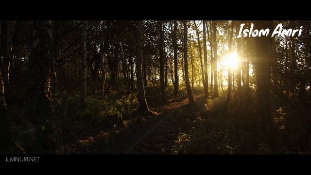 Abdulloh Domla | Umar Ibn Xattob Vafotlari (tavfsiya) - Абдуллоҳ Домла | Умар Имб Хаттоб Вафотлари смотреть онлайн